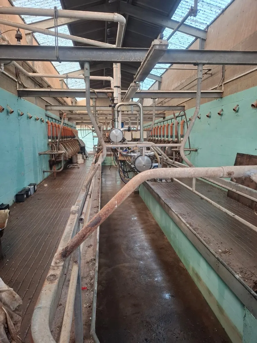 Waikato 14/28 herringbone milking parlour - Image 4