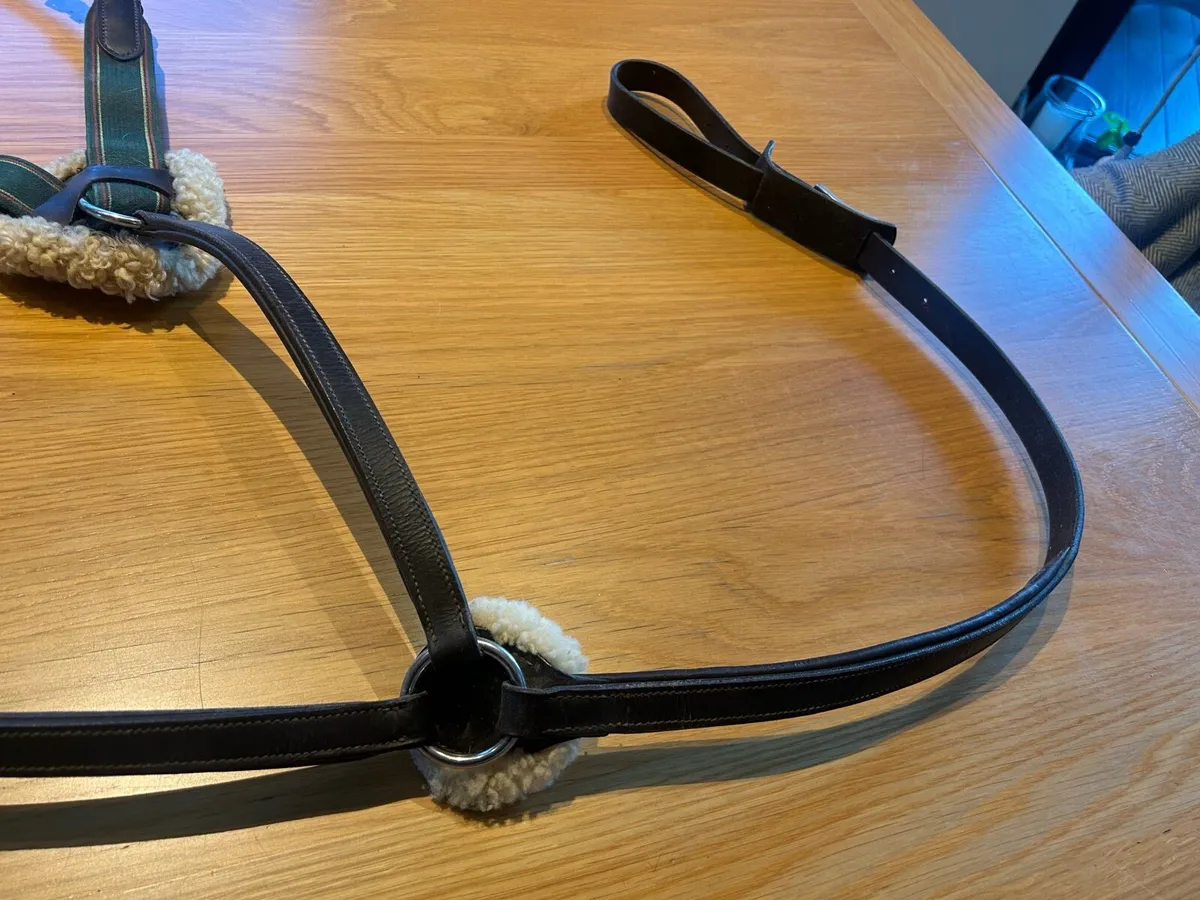 5 point breastplate with lambswool - Image 2