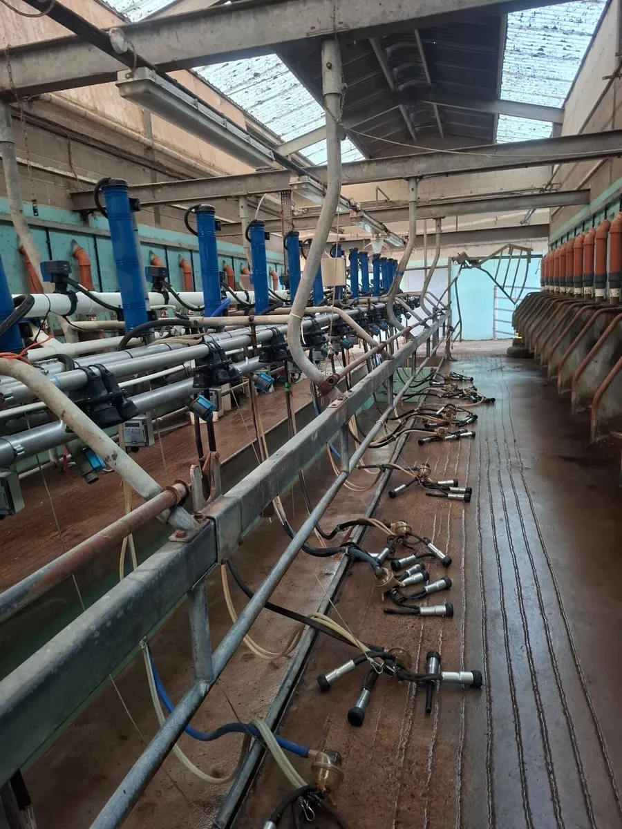 Waikato 14/28 herringbone milking parlour - Image 1