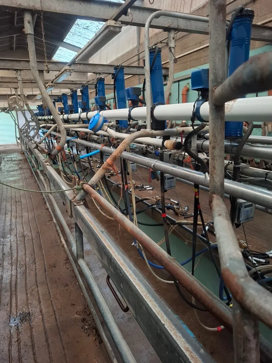 Waikato 14/28 herringbone milking parlour - Image 2