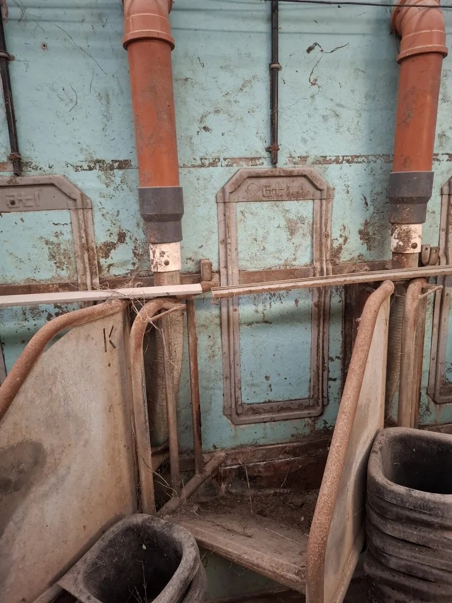 Waikato 14/28 herringbone milking parlour - Image 3