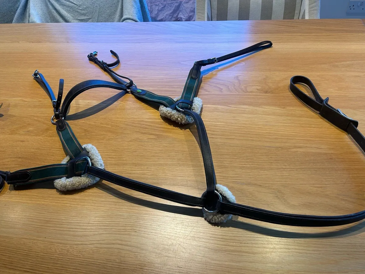 5 point breastplate with lambswool - Image 1