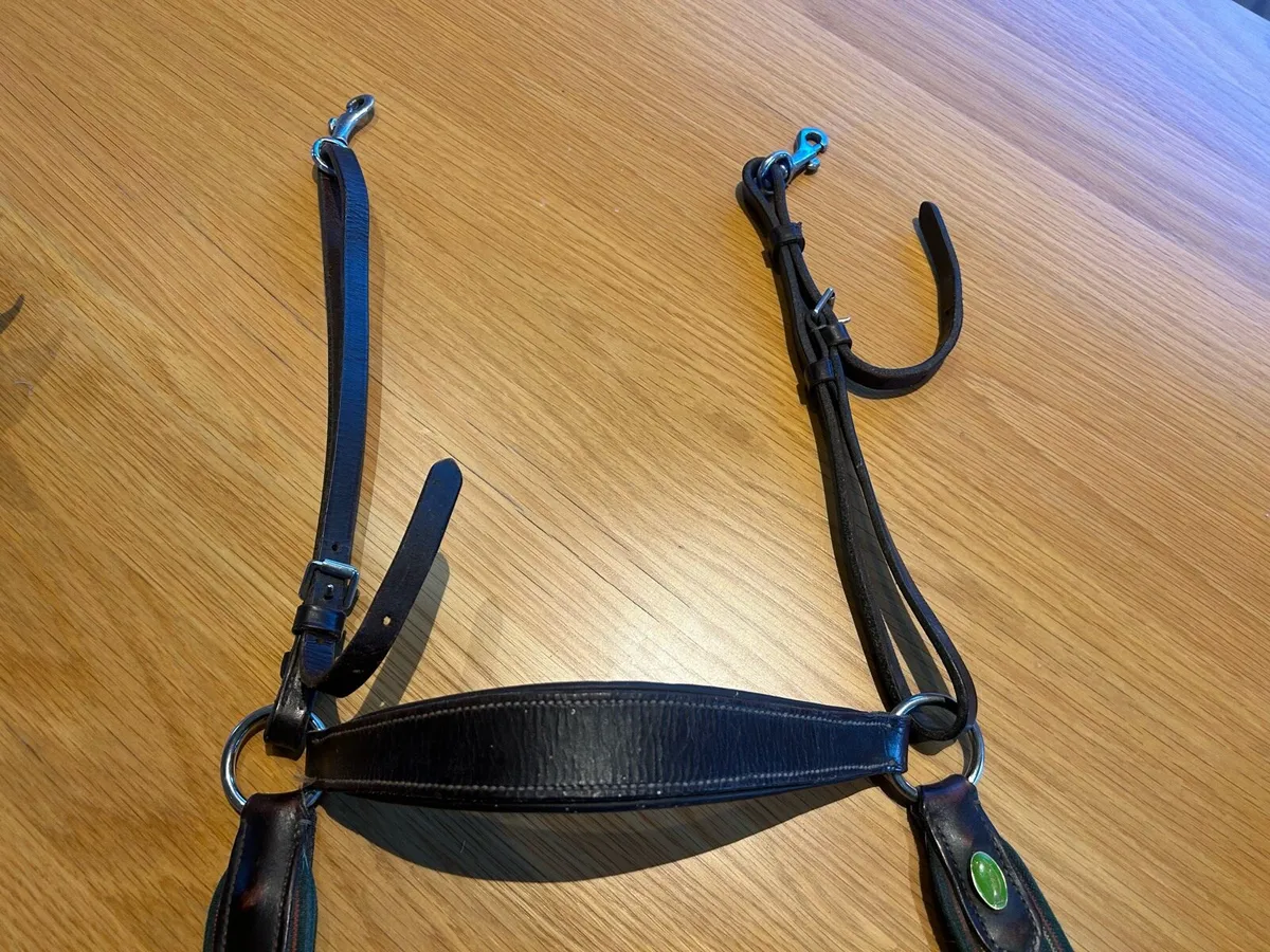 5 point breastplate with lambswool - Image 4