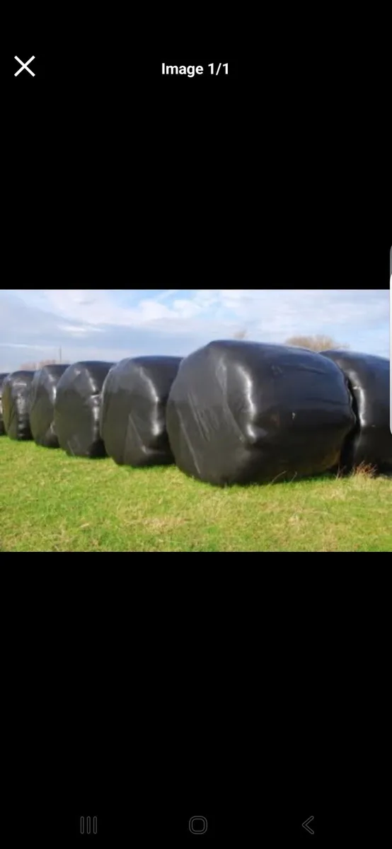 Silage bales - Image 1