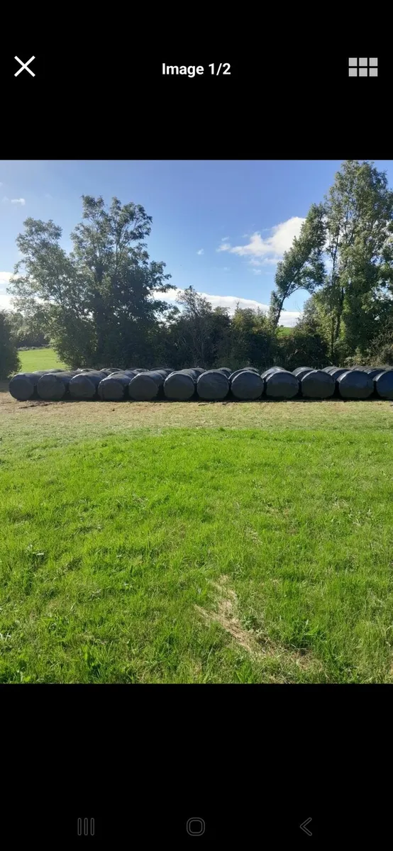 Silage bales - Image 2