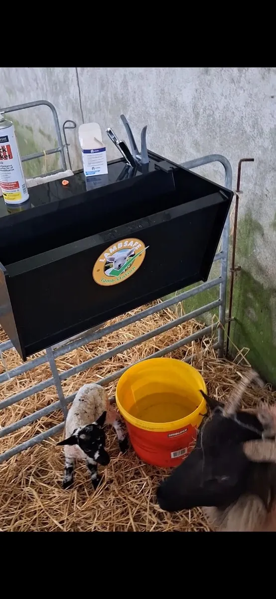 Lamb Station - lambing - Image 1