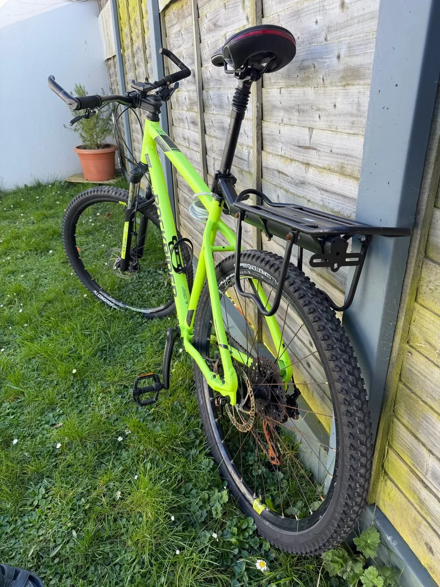 Bicycle XL frame - Image 1