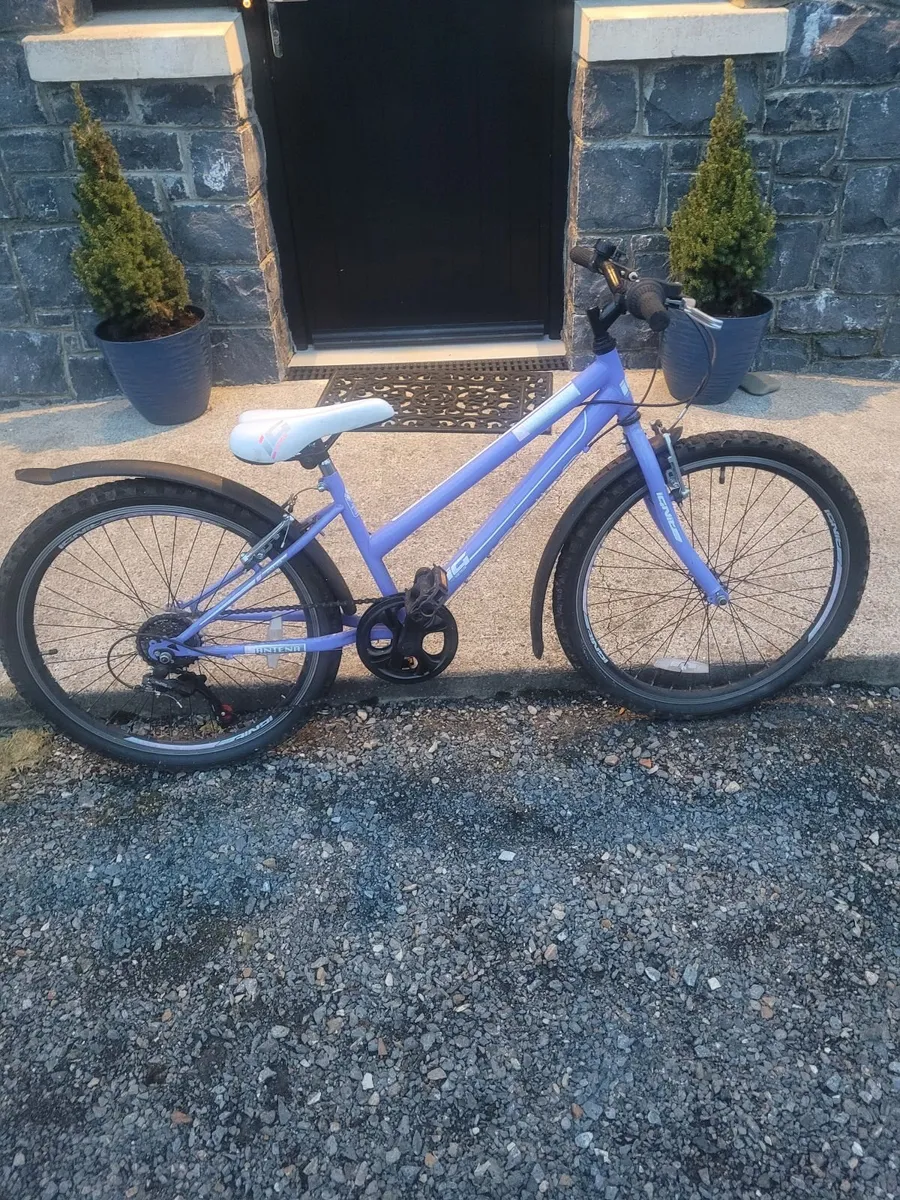 Girls bike - Image 1