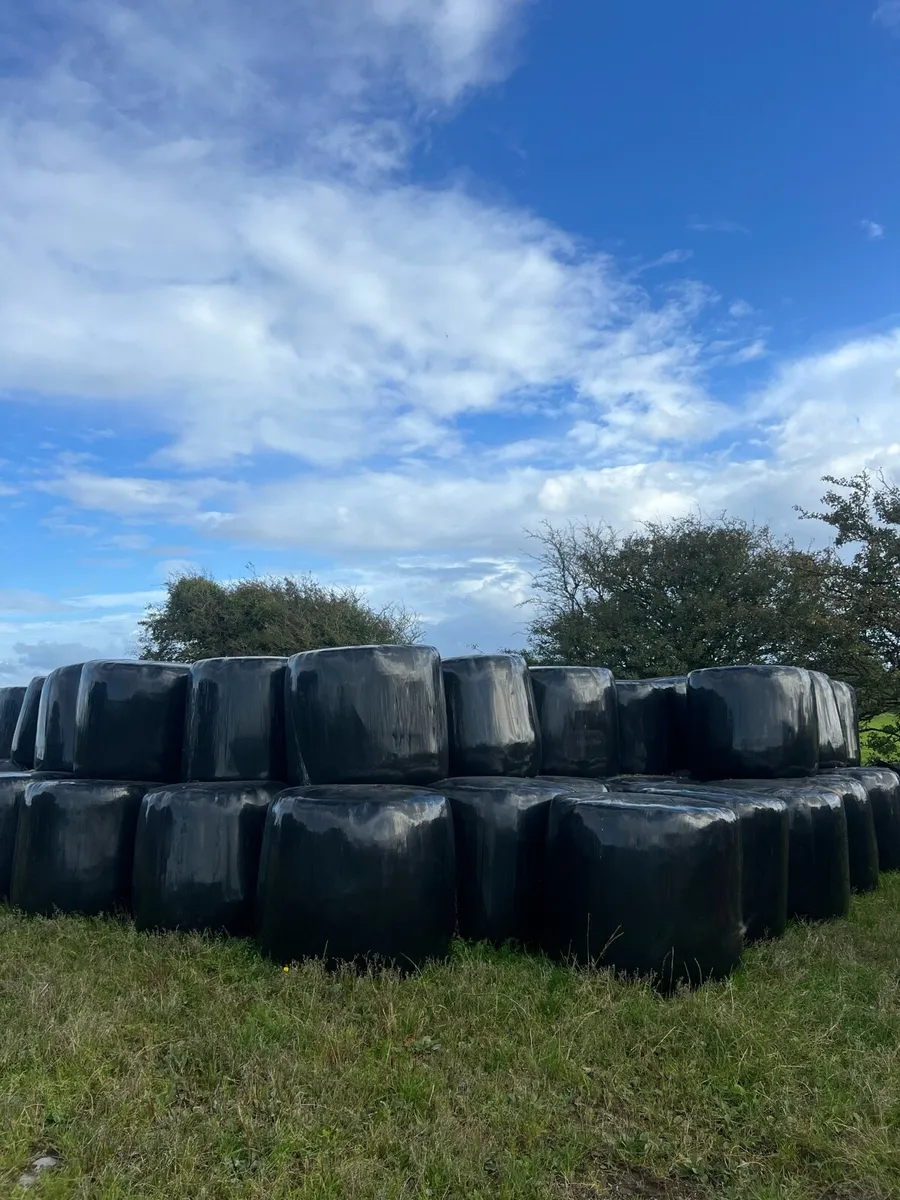 Silage bales