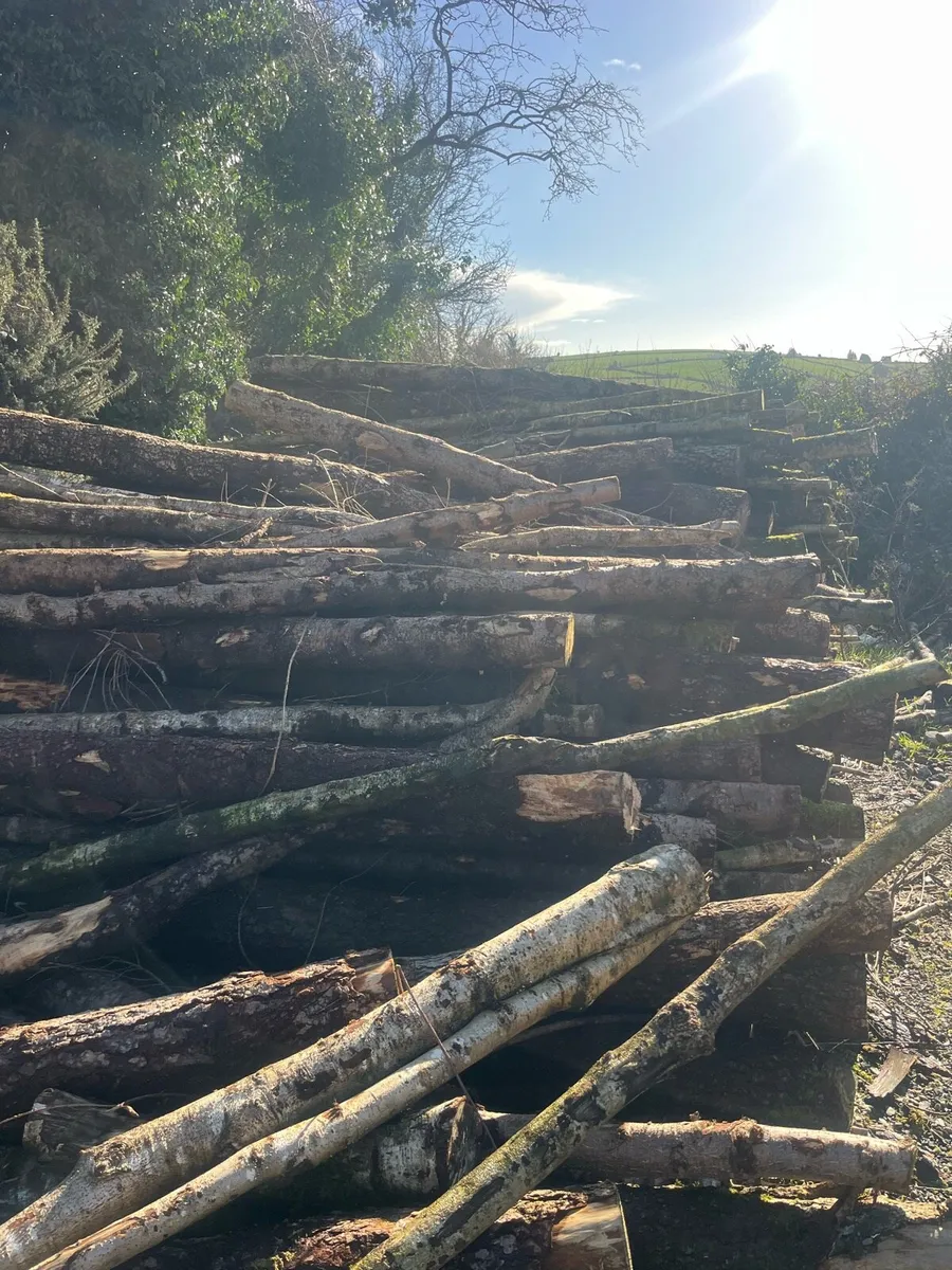 Lorry load of softwood timber - Image 4
