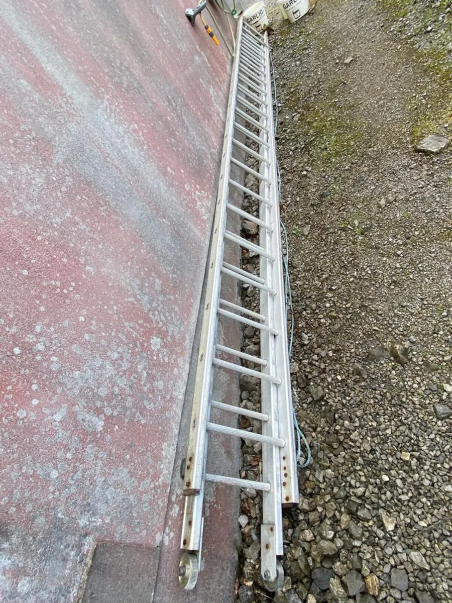 Heavy Extendable Ladder - Image 1
