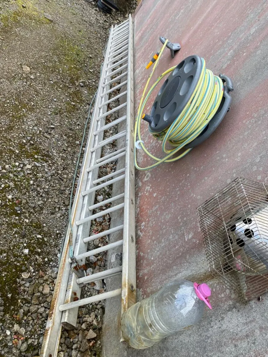 Heavy Extendable Ladder - Image 2