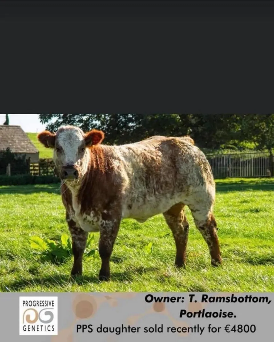 Sale Gort Mart 12.03.26 - Image 3