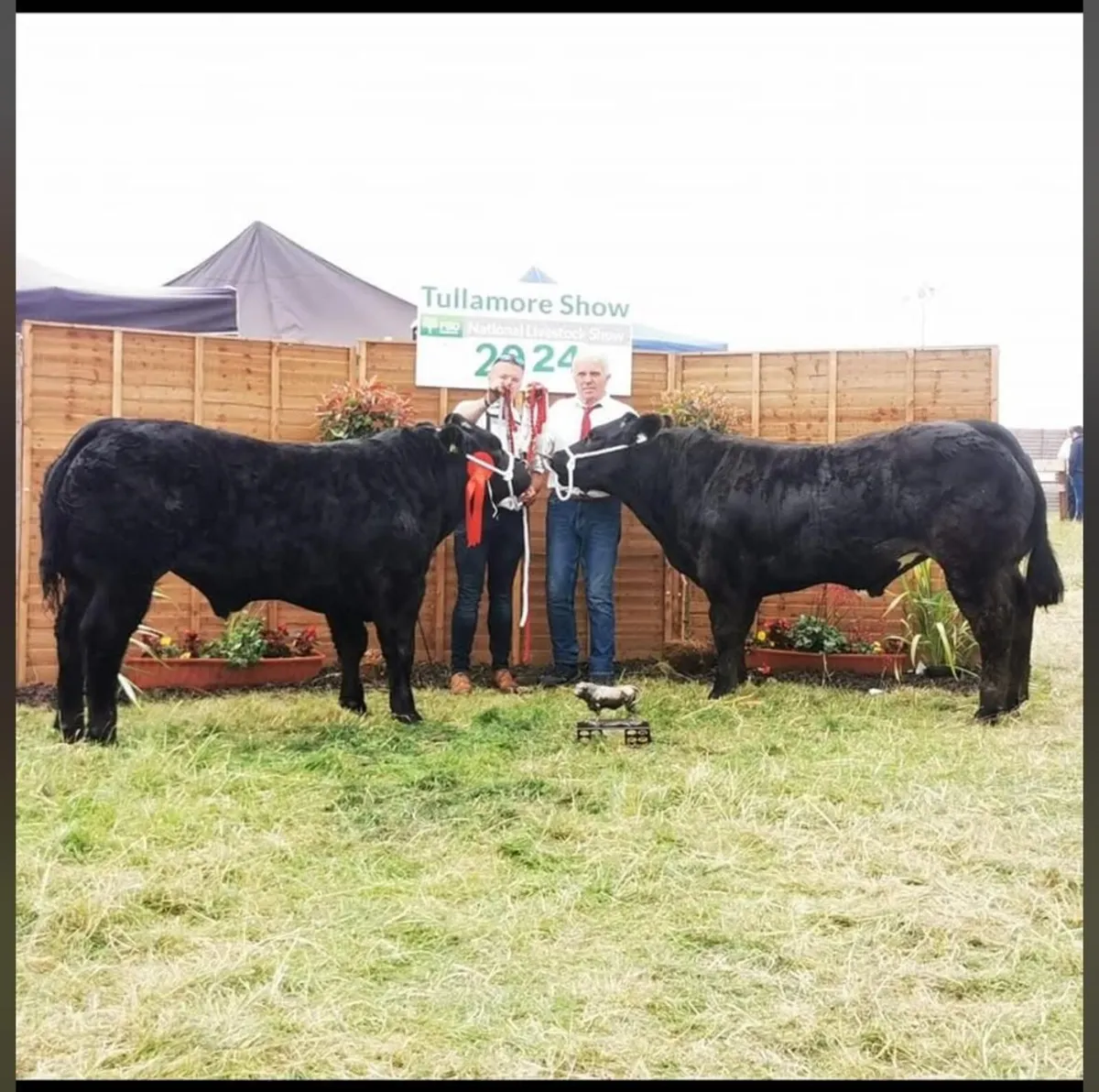 Sale Gort Mart 12.03.26 - Image 4