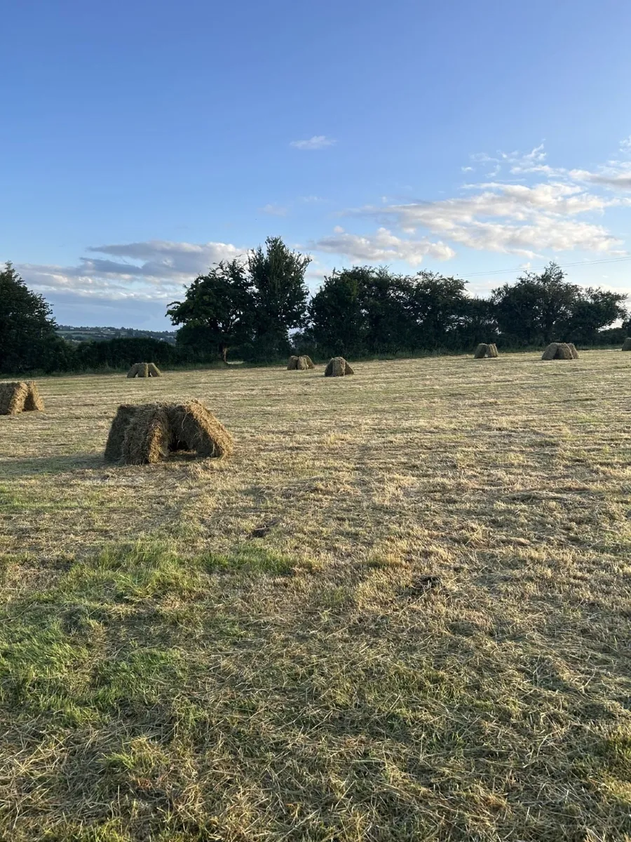 Small square hay bales