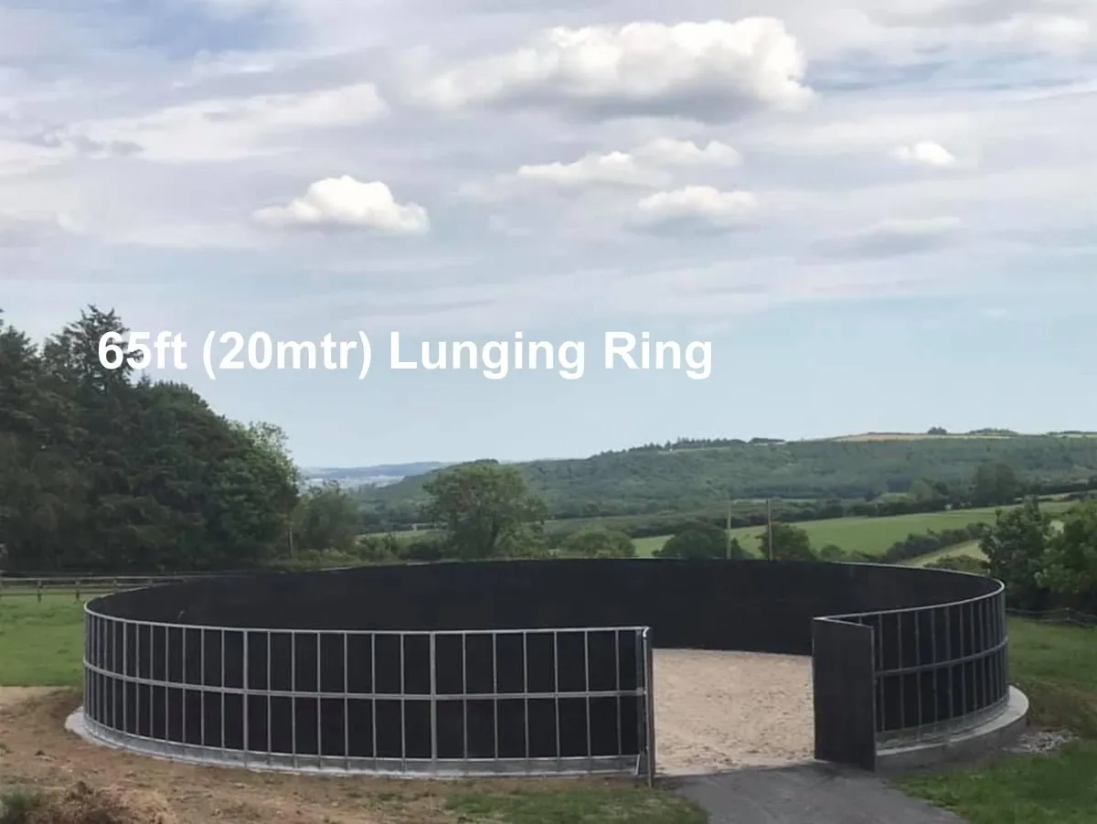 Lunging Ring - Image 1