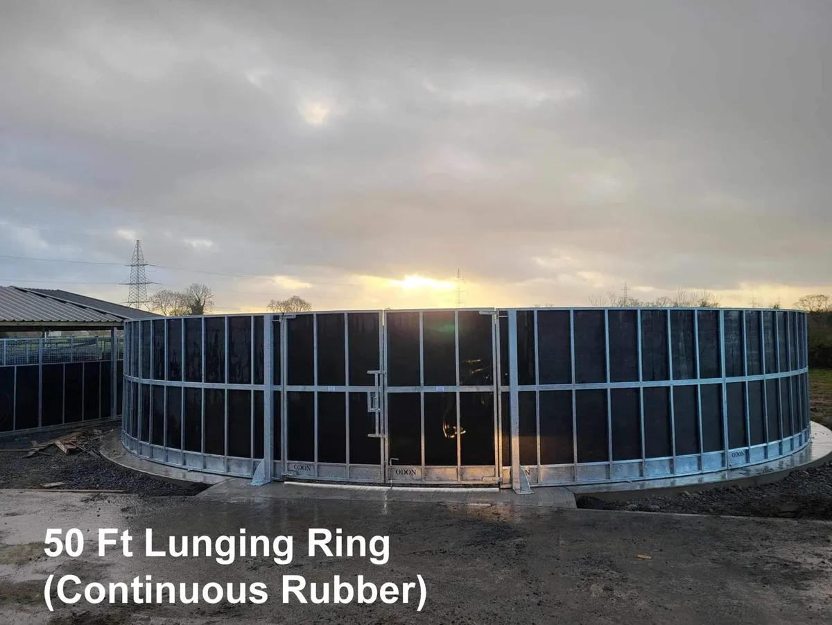 Lunging Ring - Image 2