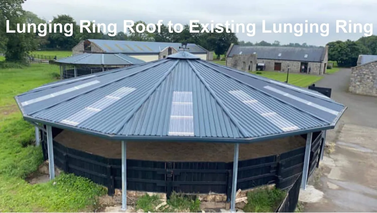 Lunging Ring - Image 3