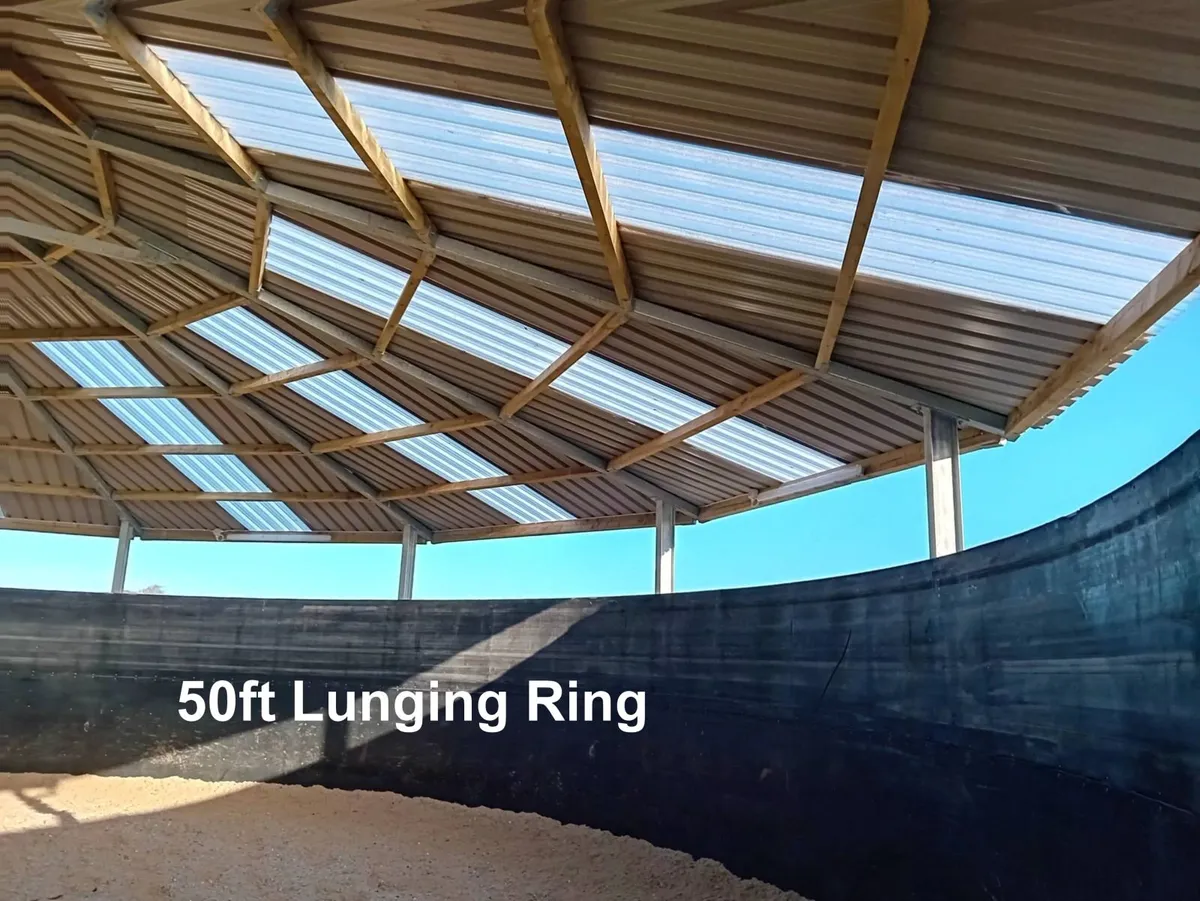 Lunging Ring - Image 4