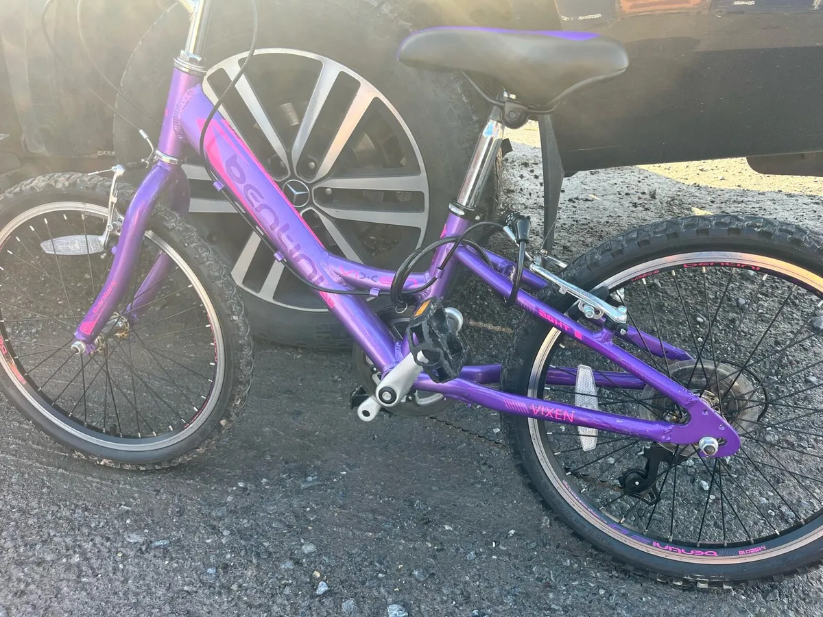 Girl’s aluminum bike for sale - Image 2