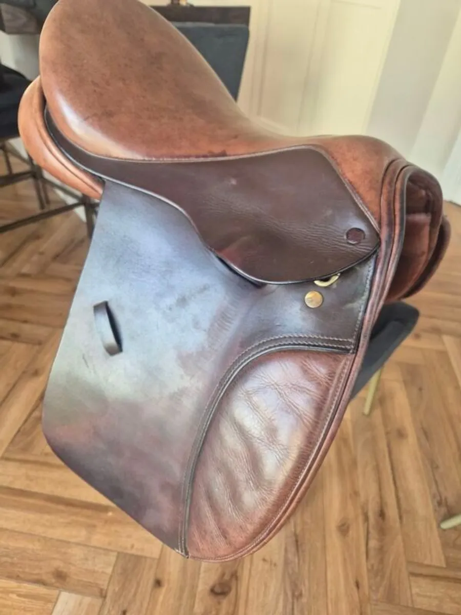 Pony Saddle 16" - Collegiate - Image 3