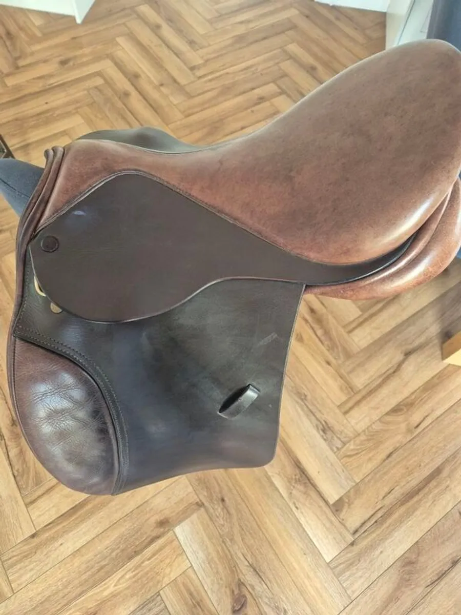 Pony Saddle 16" - Collegiate - Image 4