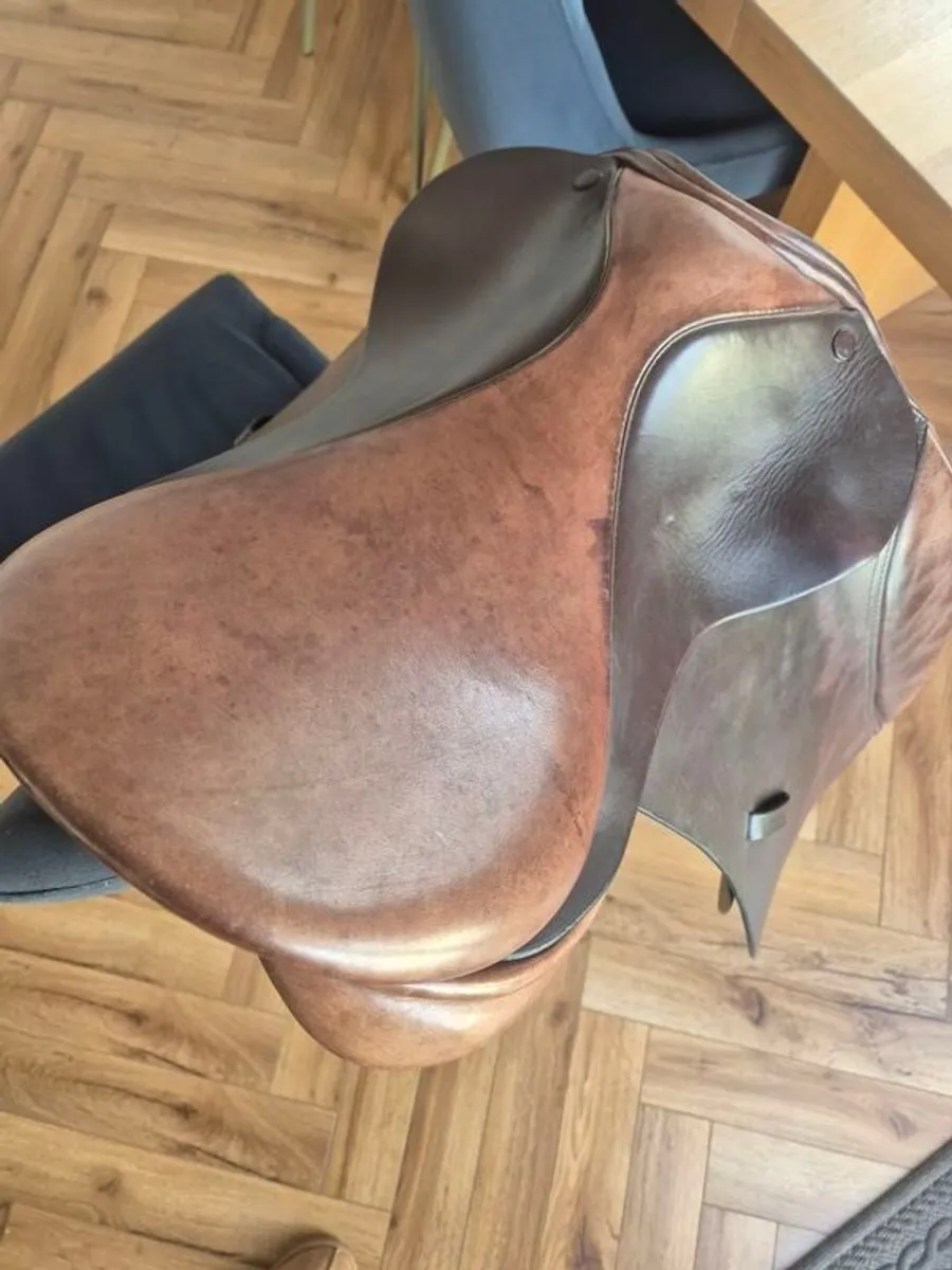 Pony Saddle 16" - Collegiate - Image 2