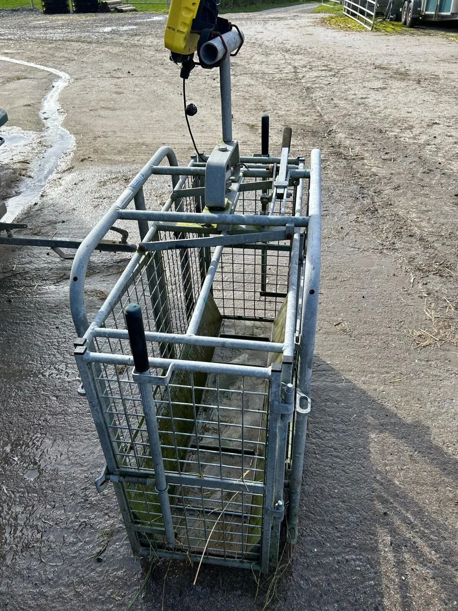 Sheep weighing scales - Image 3
