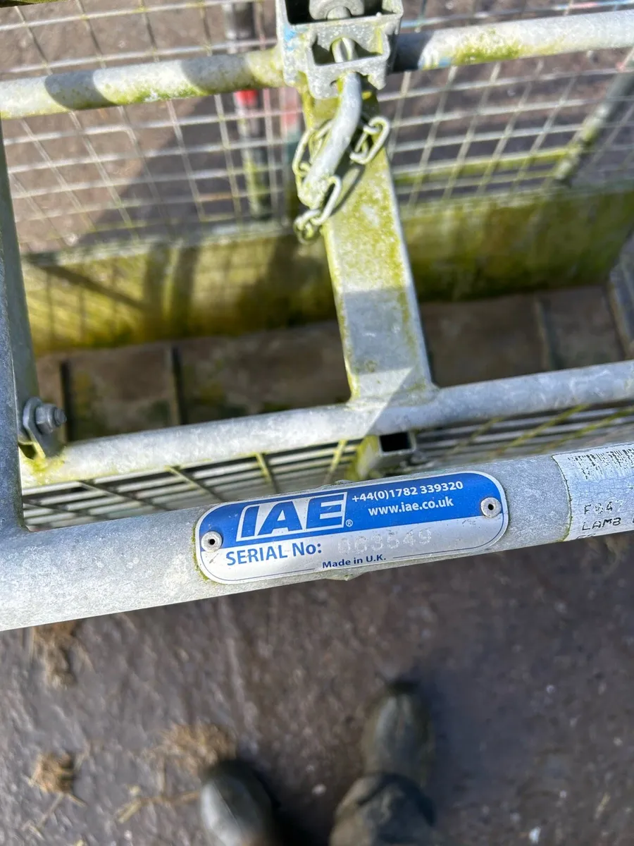 Sheep weighing scales - Image 4