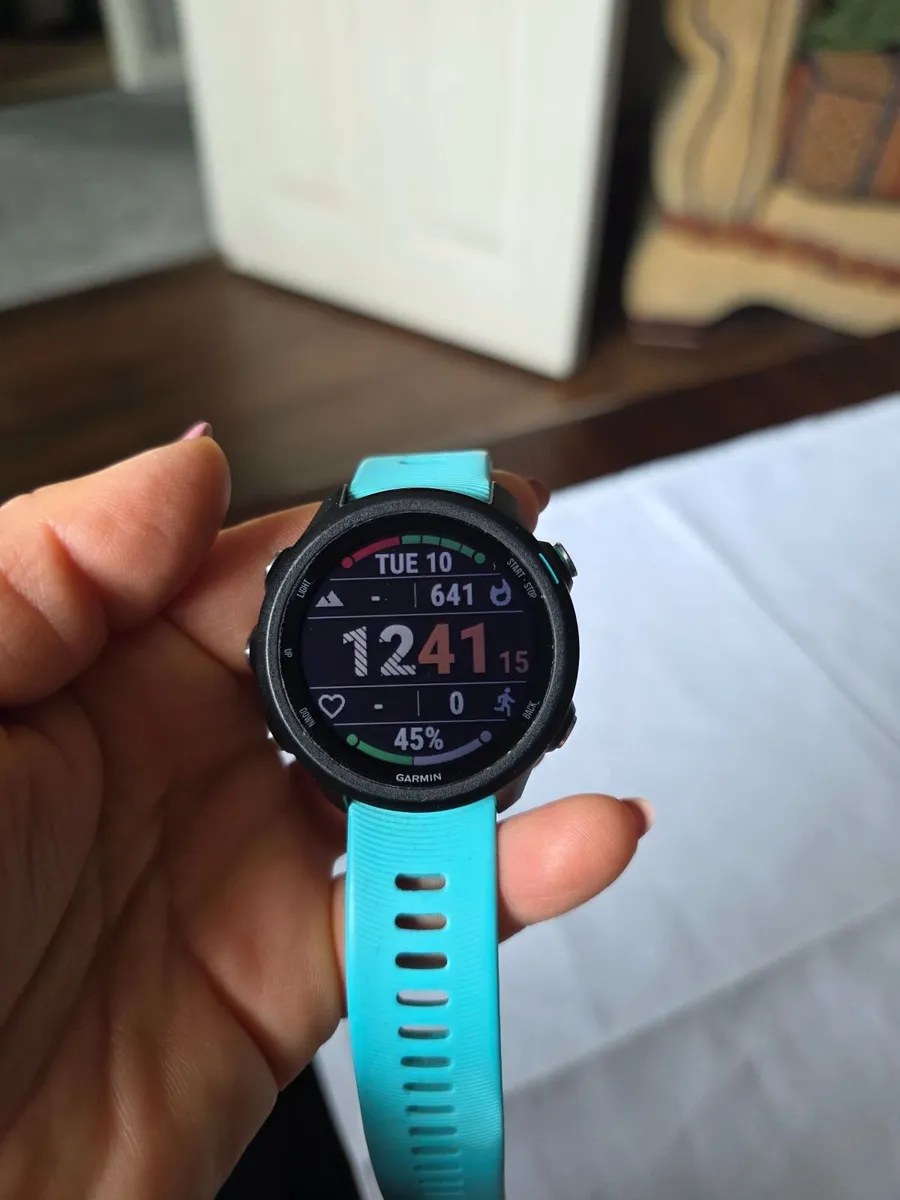 Garmin 245 Music - Image 1