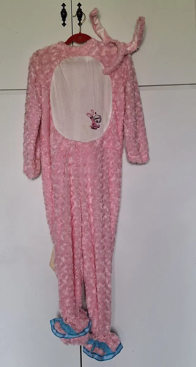 Fancy Dress/ Dressing Up Costumes - Image 4