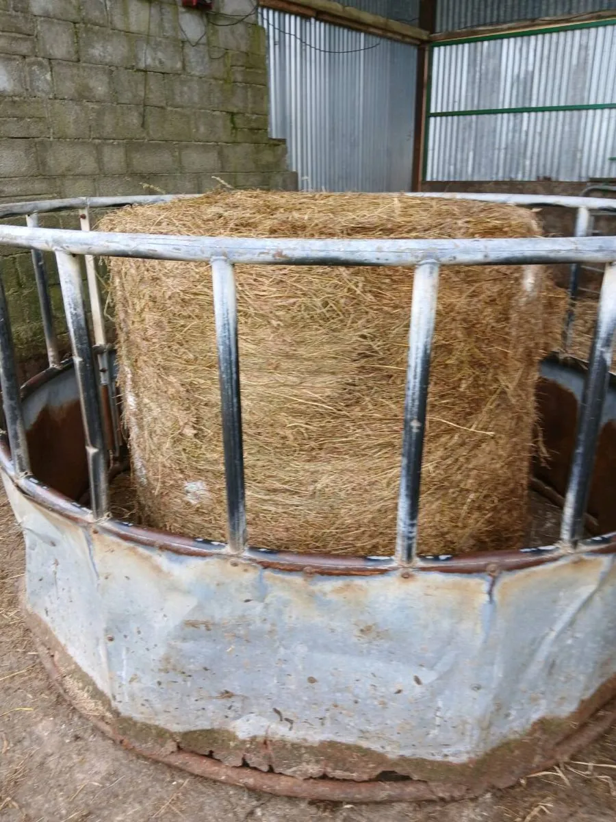 Bales of silage - Image 2