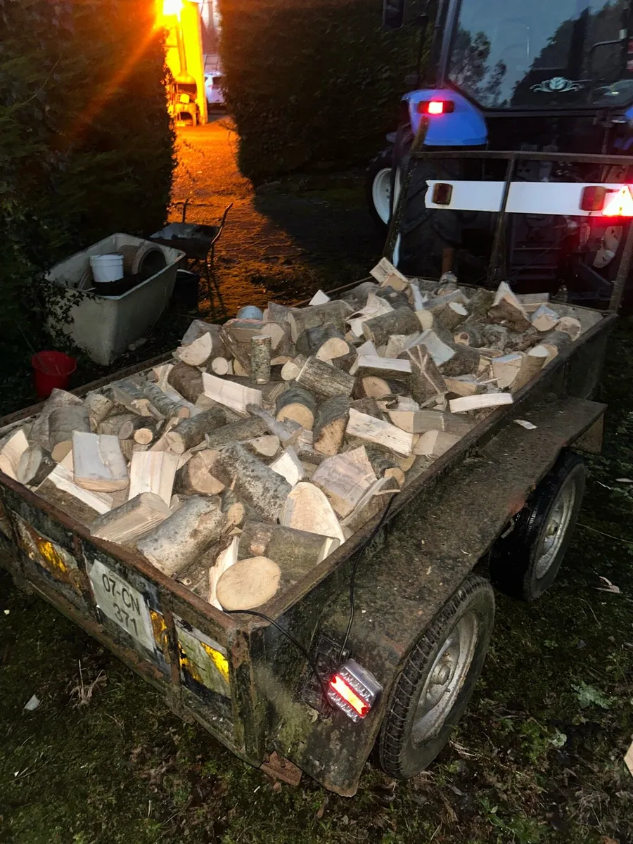Ash firewood - Image 2