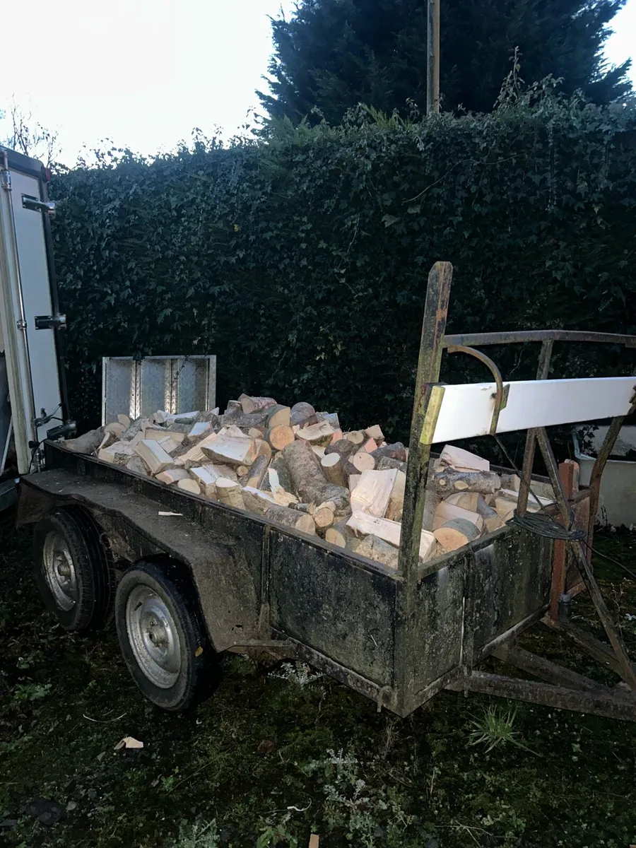 Ash firewood - Image 3