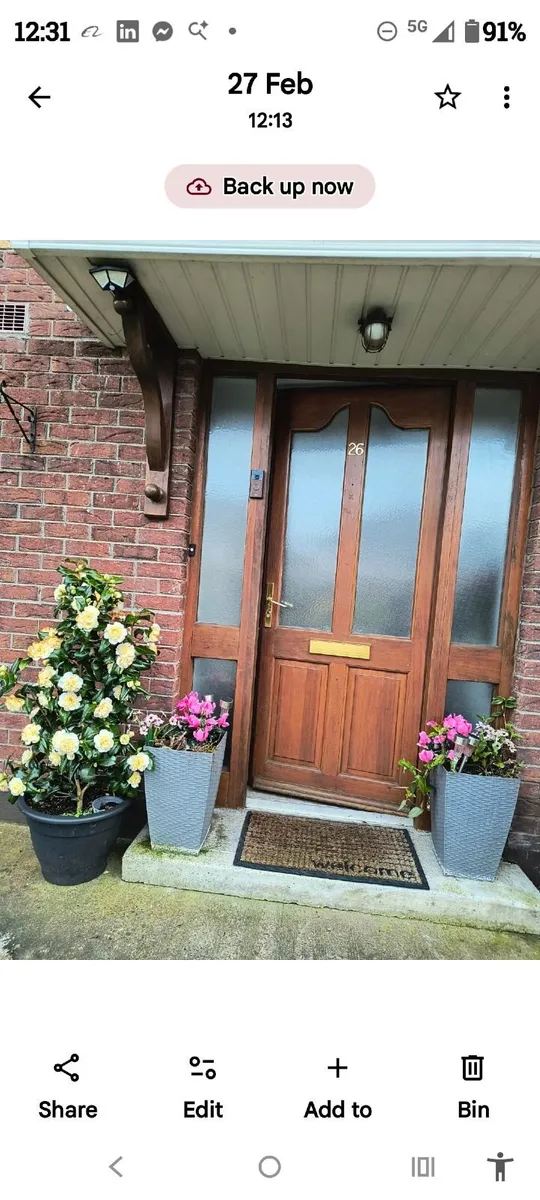 Everything 200€. Windows and doors. Timber. - Image 2