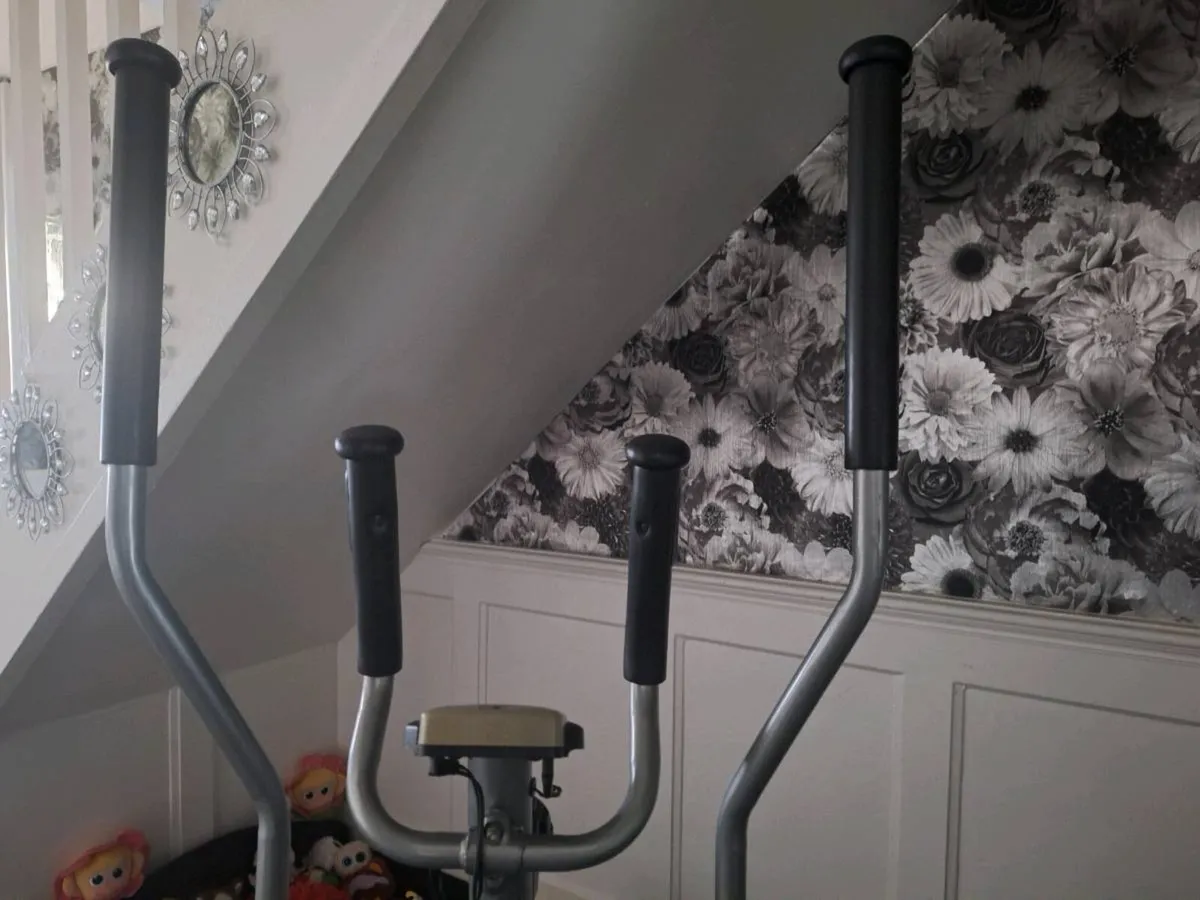 Elliptical  Straider - Image 4