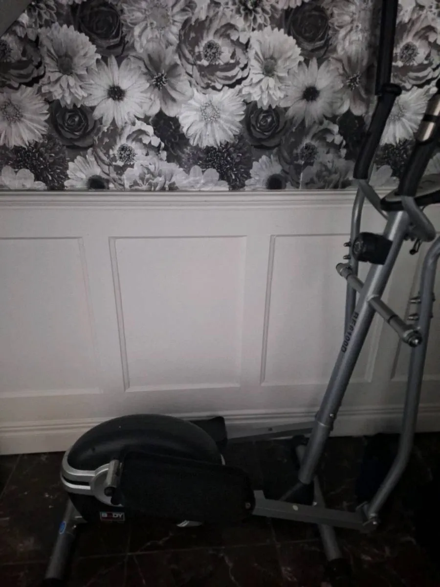 Elliptical  Straider - Image 2