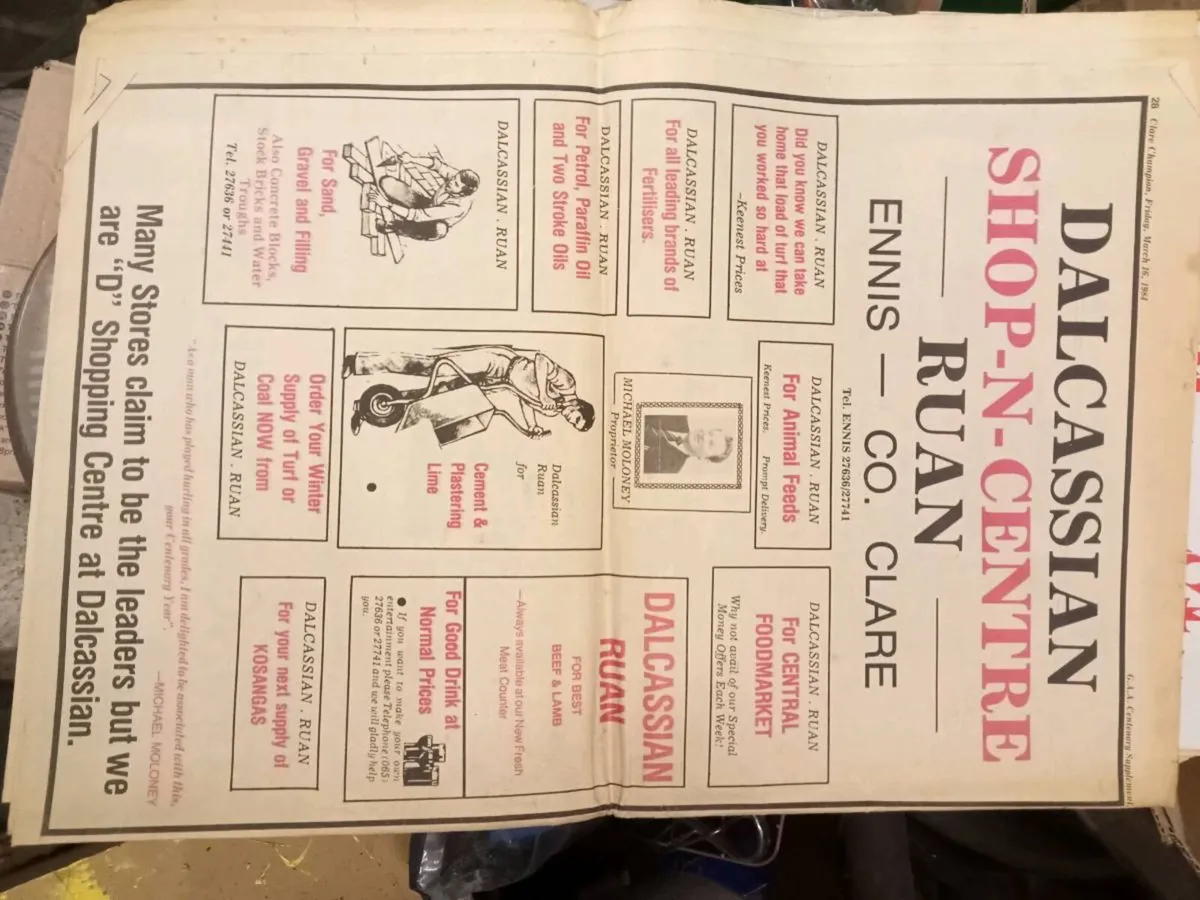 Old Clare champion - Image 2