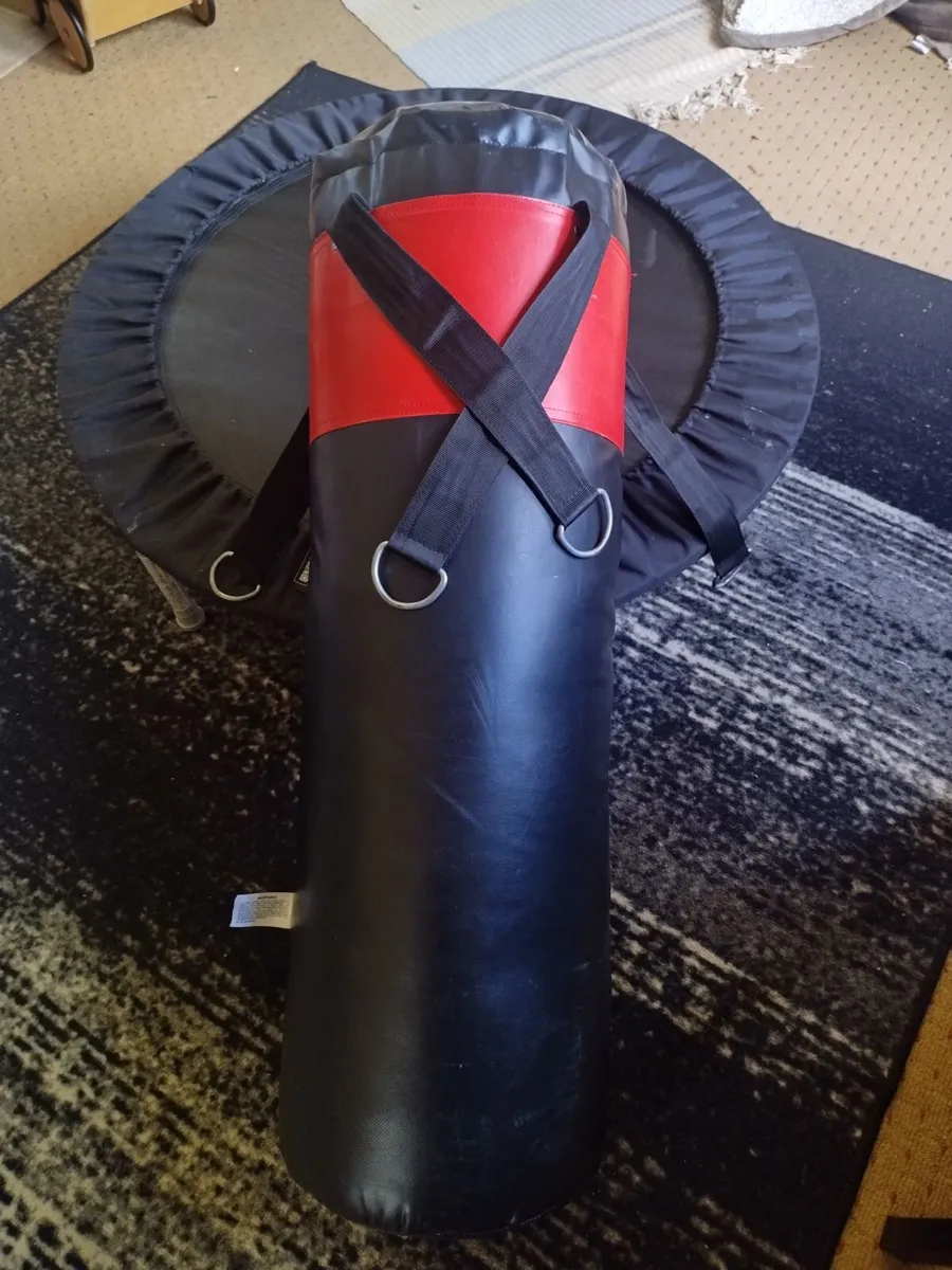 Exercise equipment - Image 1