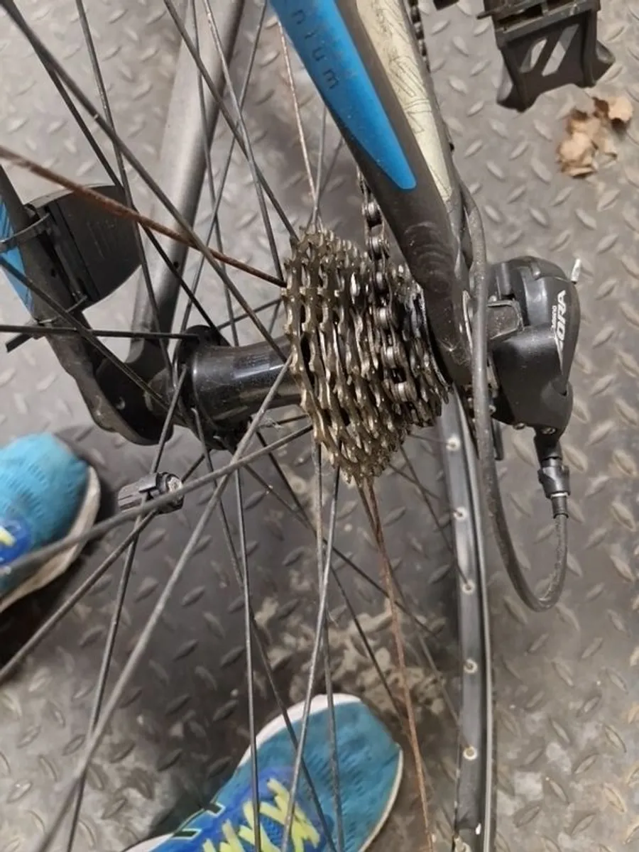 Racing Bicycle - Image 4