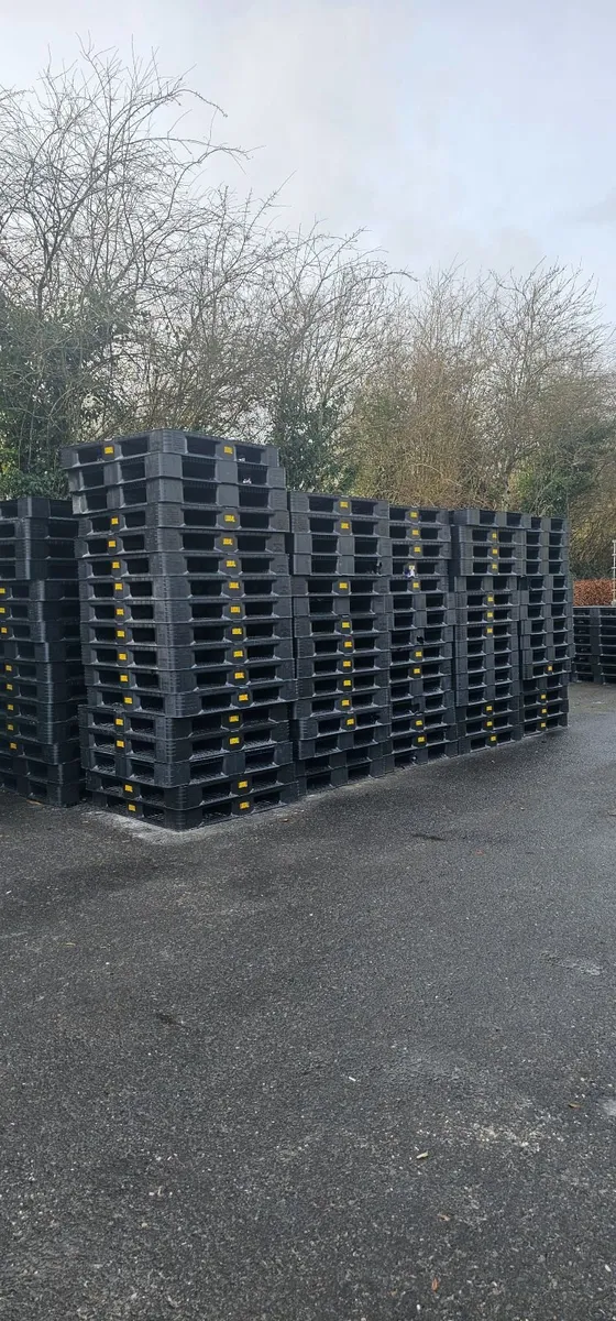 Plastic pallets