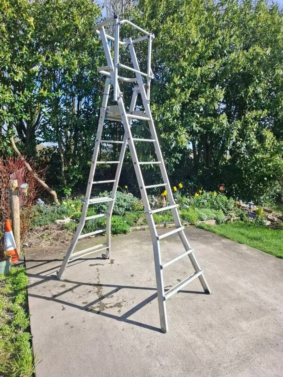 Extendable Podium Ladder - Image 2