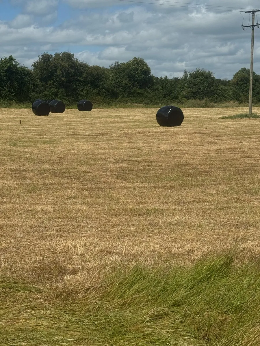 Haylage