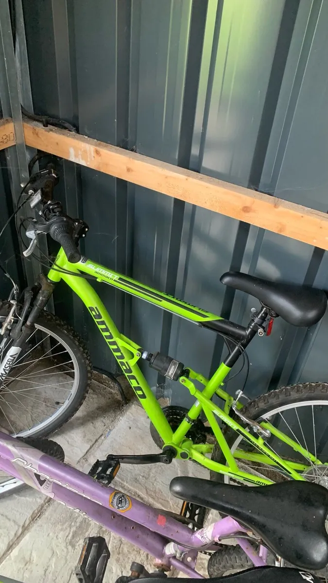 Mountain bike - Image 1