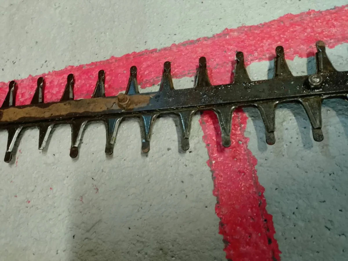 Hedge cutters - Image 4