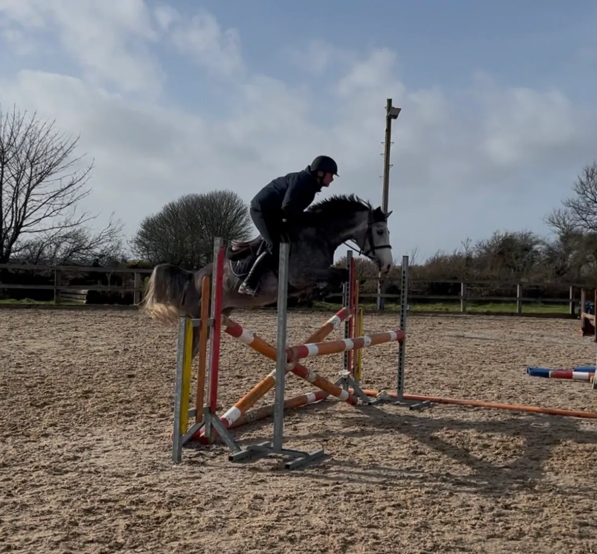 Top track 138cm pony - Image 1