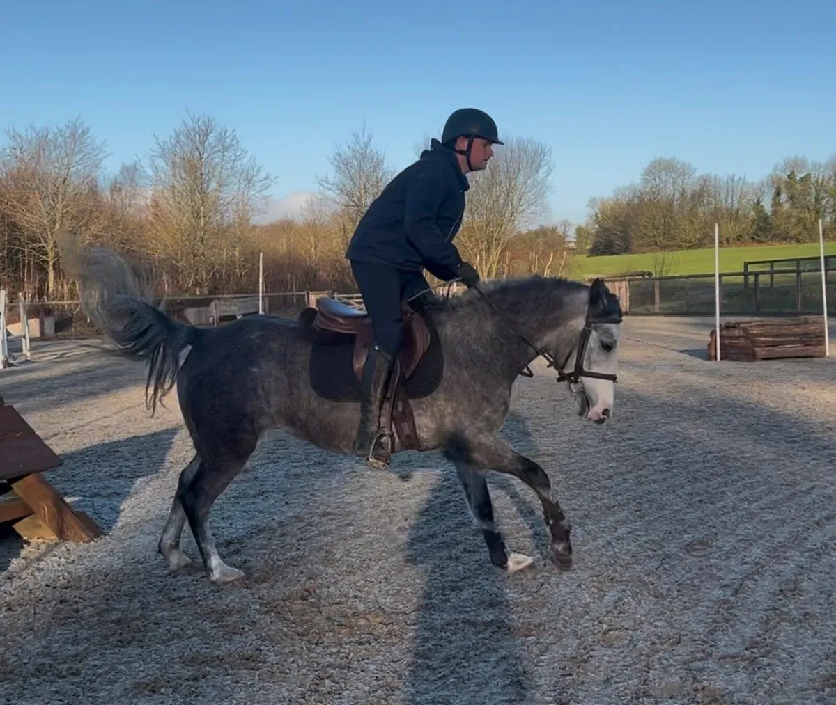 Top track 138cm pony - Image 3