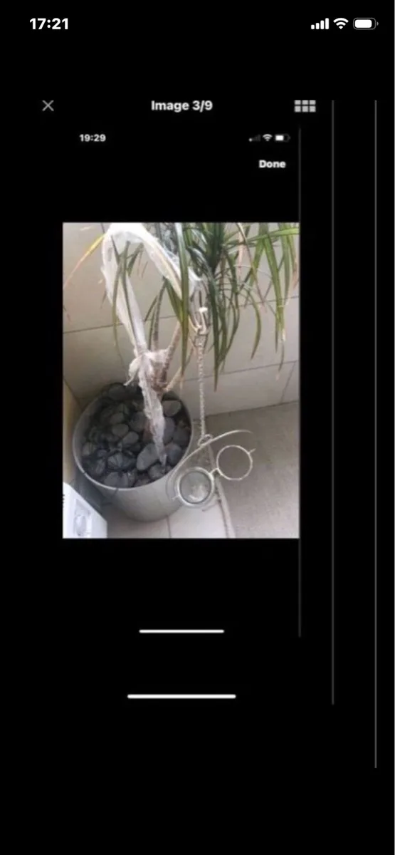 Garden Candle Set - Image 3