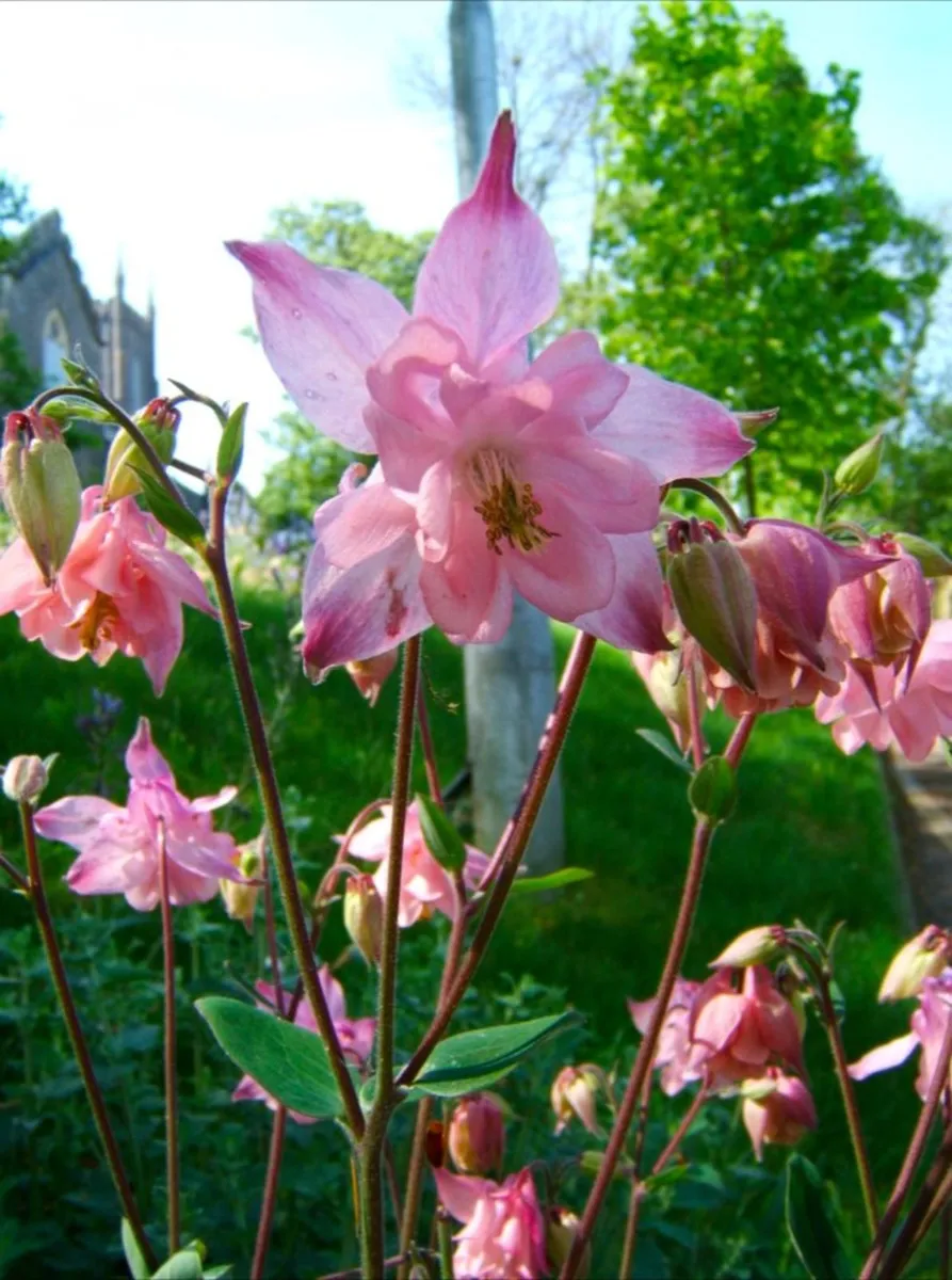 Fujifilm E510 SuperCCD🌈 rangefinder style camera - Image 2