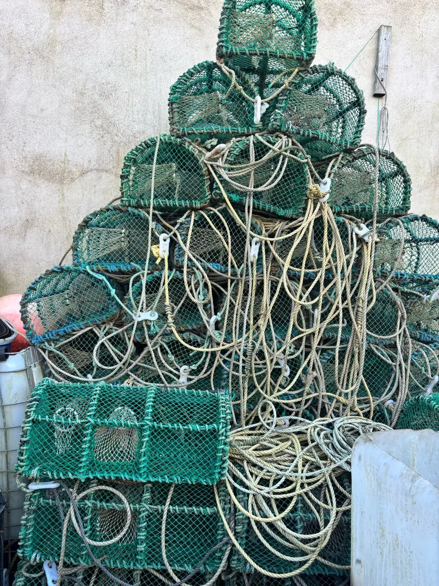 Green crab pots - Image 1